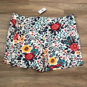 🌷🌺Ann Taylor LOFT Shorts, Size 6 NWT